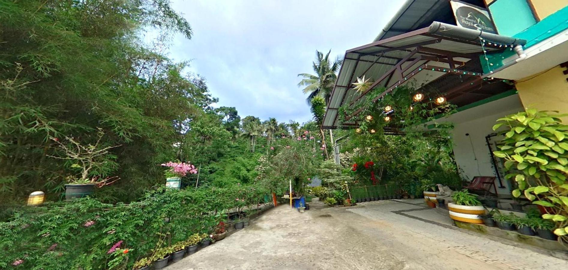 Wayanad Royal Stream Bed & Breakfast Kalpetta Exterior photo