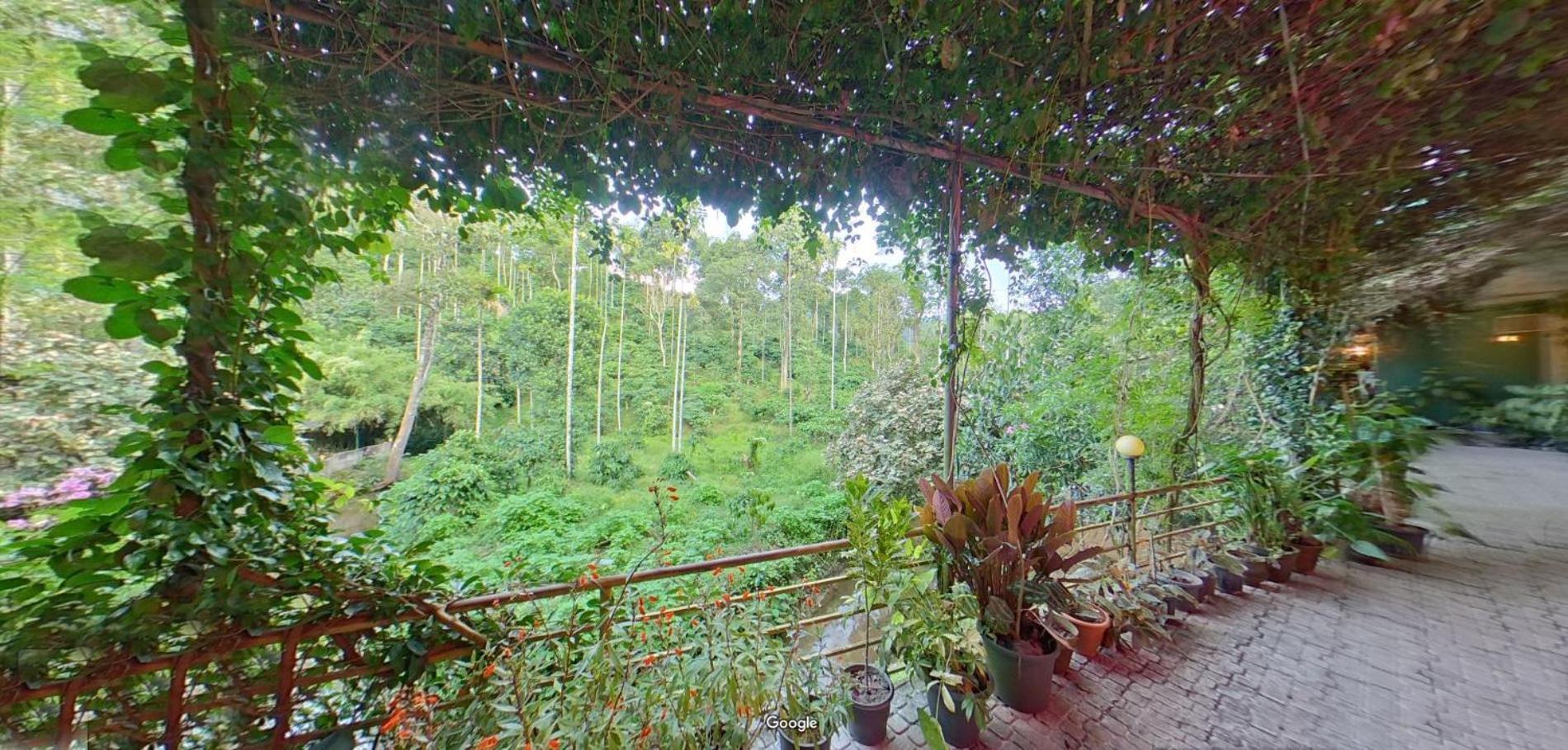 Wayanad Royal Stream Bed & Breakfast Kalpetta Exterior photo